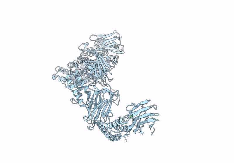 9H99 image