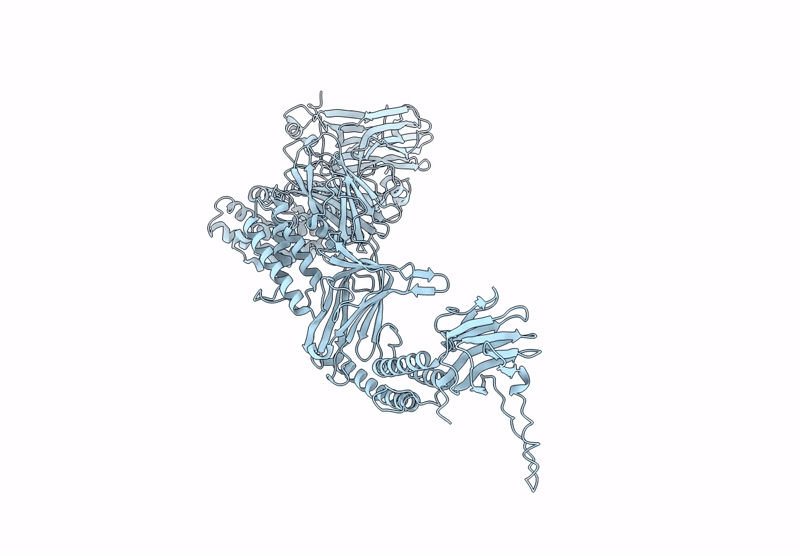 9H9B image