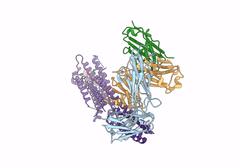 9HAP image