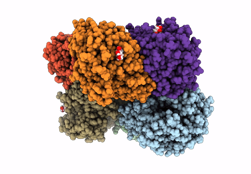 9HAV image