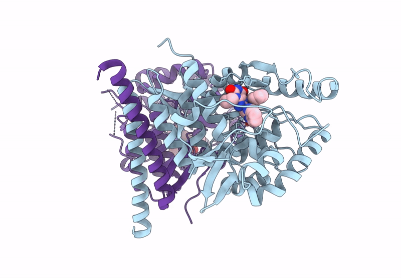 9HB7 image