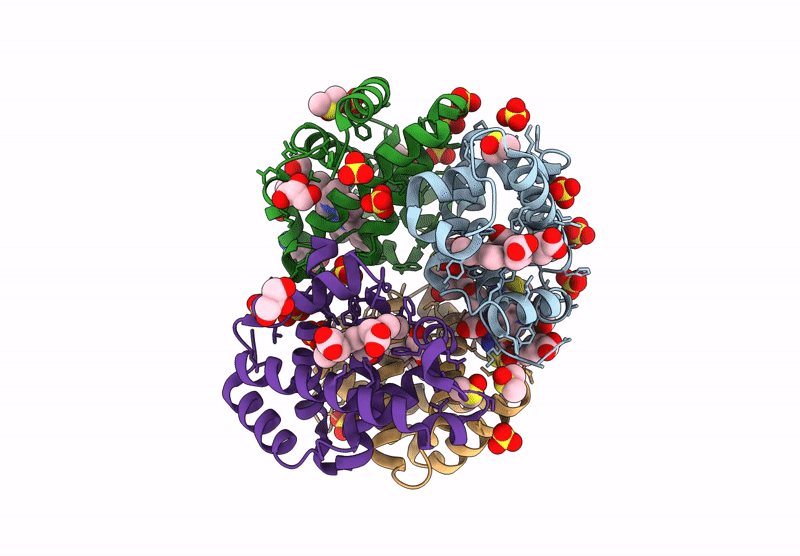 9HBA image