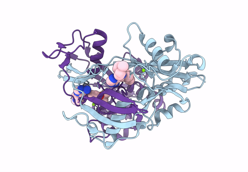 9HBM image