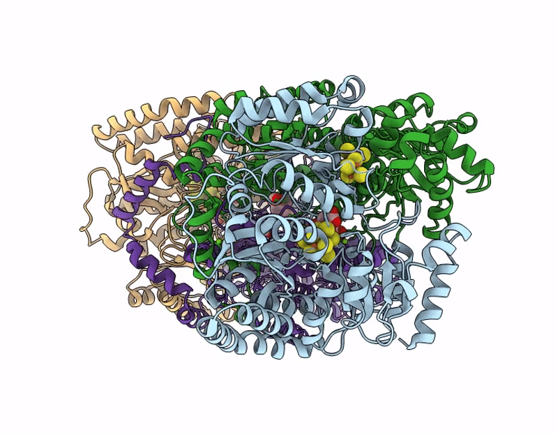 9HBN image