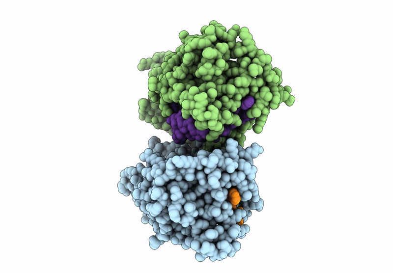 9HBR image