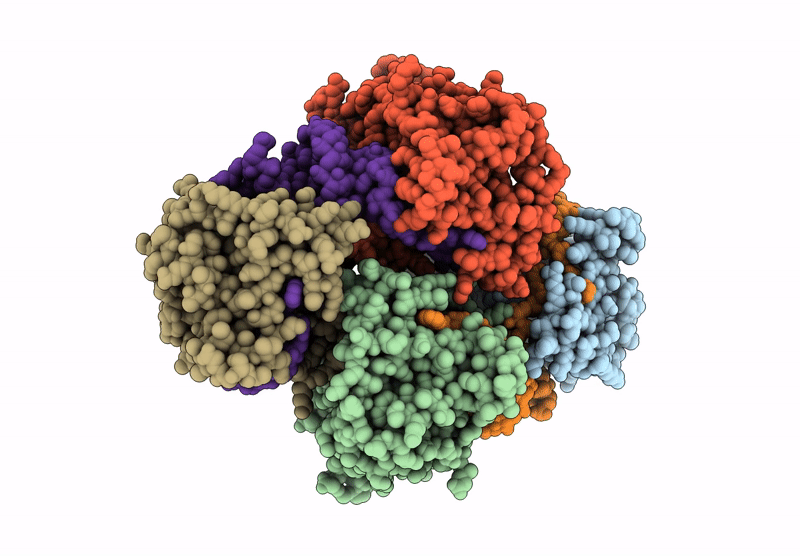 9HBS image