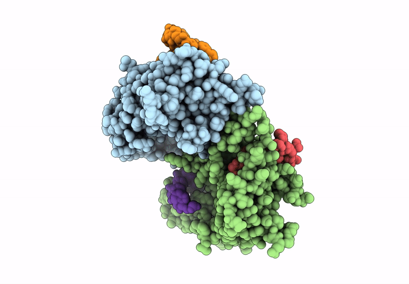 9HBV image