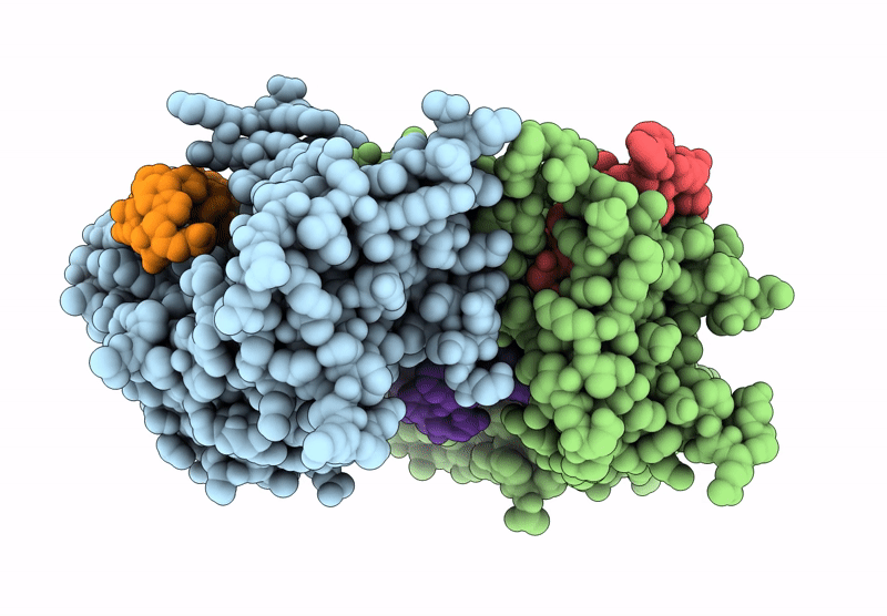 9HBX image