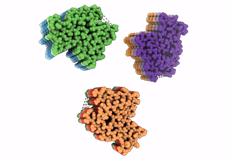 9hc6 image