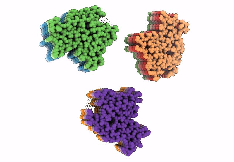 9HCA image