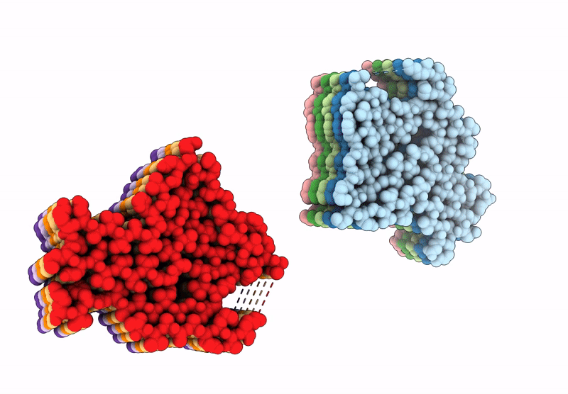 9HCB image