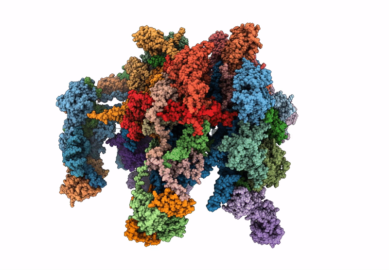 9HCC image