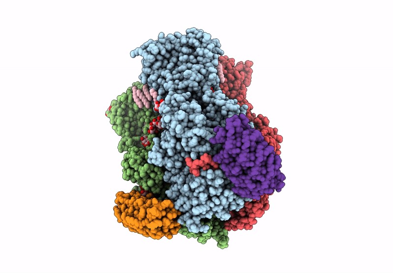 9HCI image