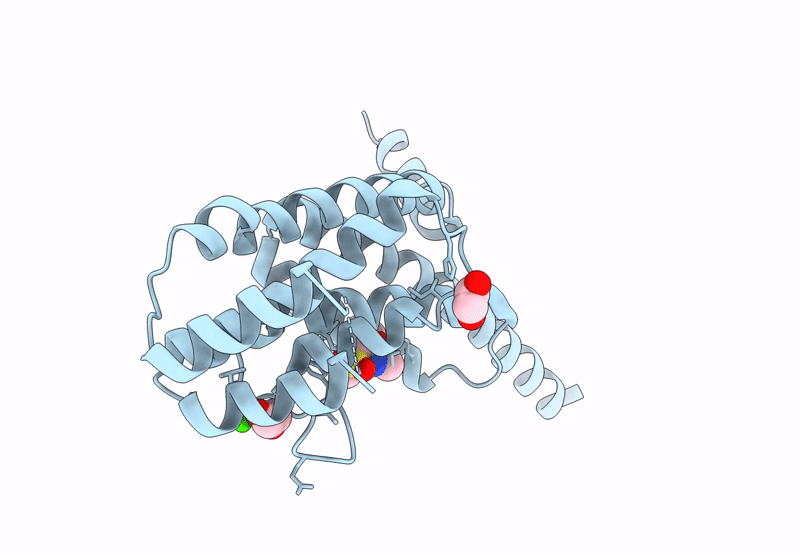 9HCN image