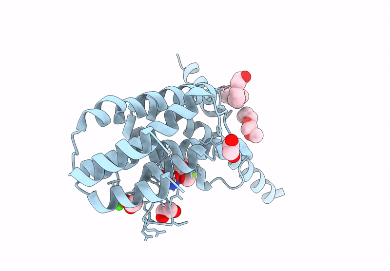 9HCP image