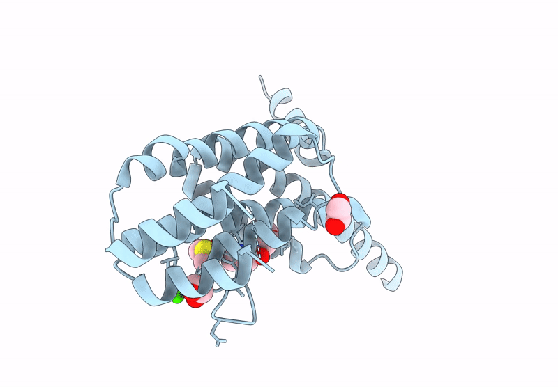 9HCR image