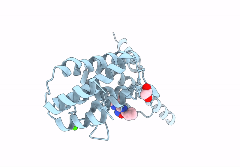 9HCV image