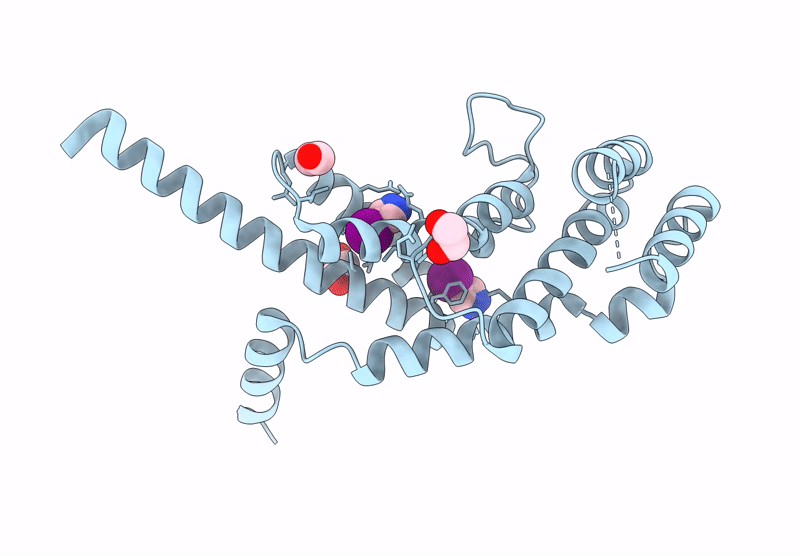 9HDA image