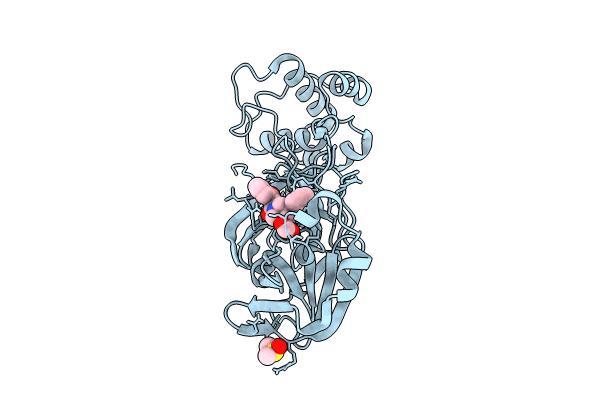 9HDC image