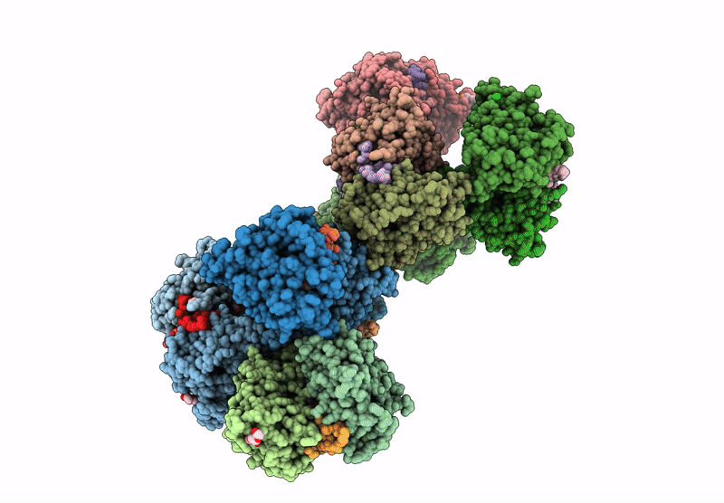 9HDF image