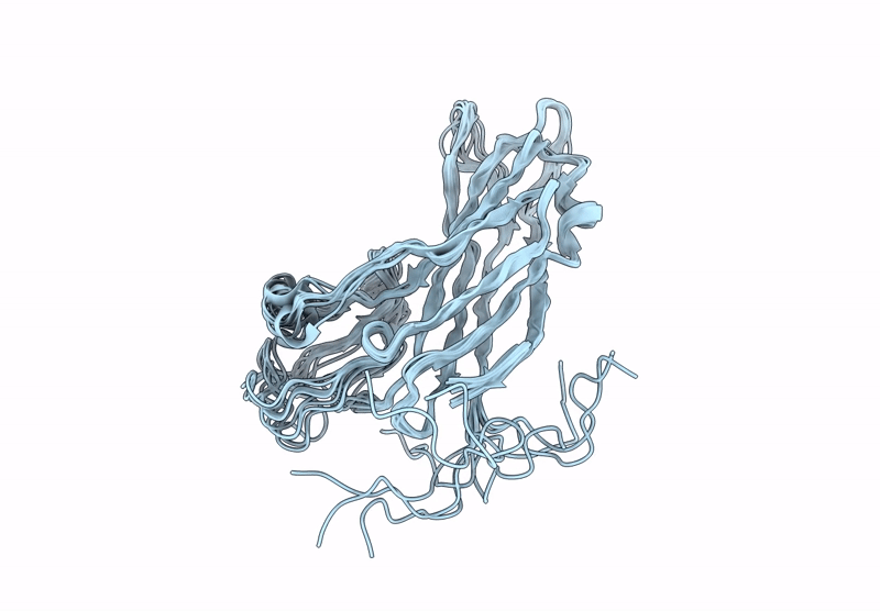 9HDI image
