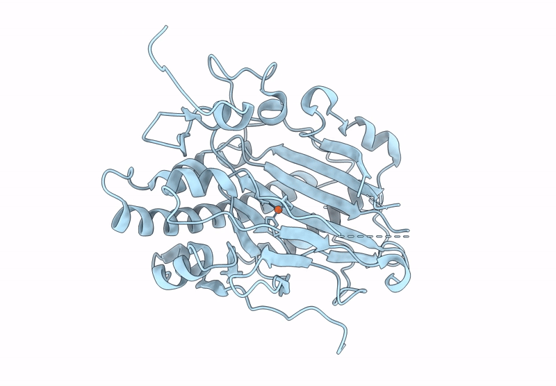 9HDL image