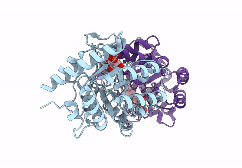 9HDX image