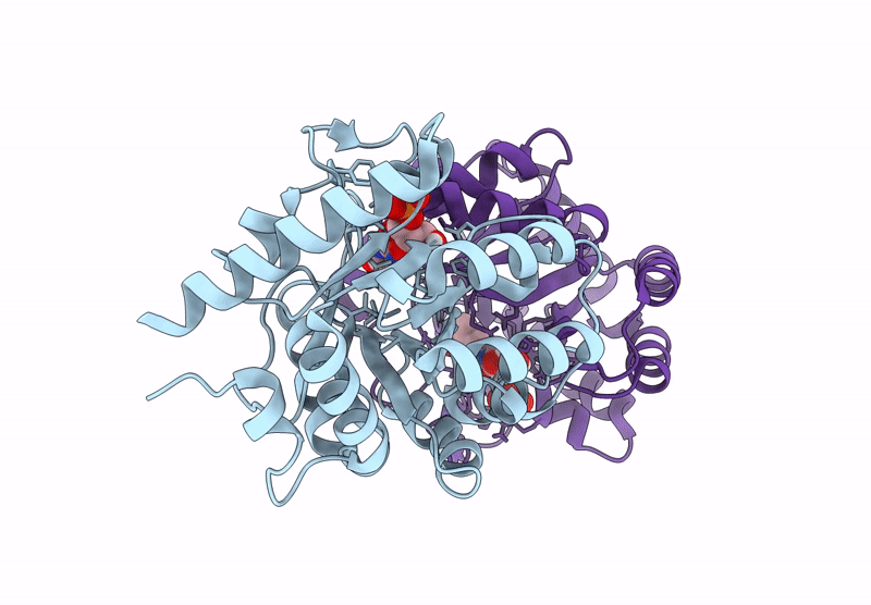 9HDZ image
