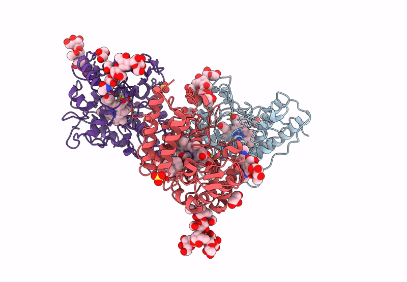 9HEC image