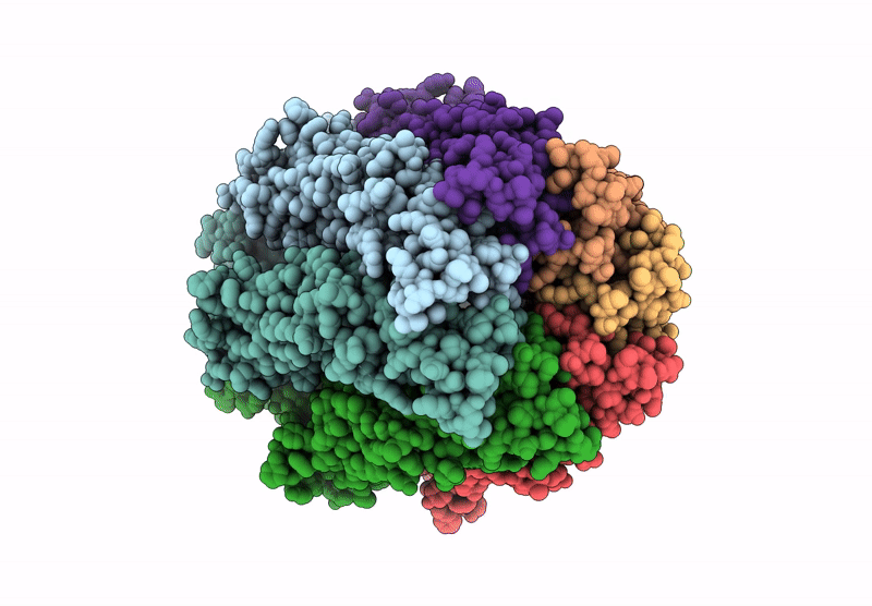 9HEV image