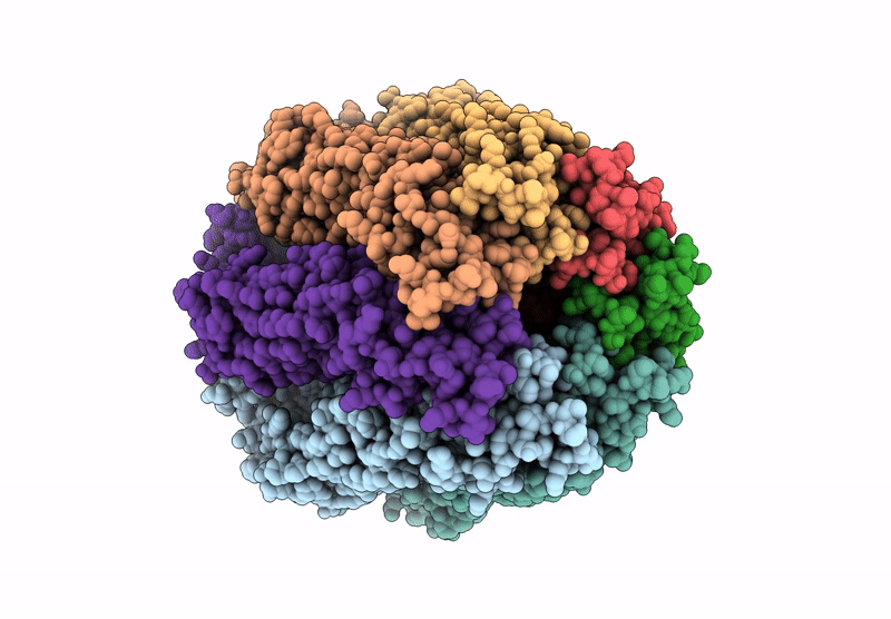 9HF1 image