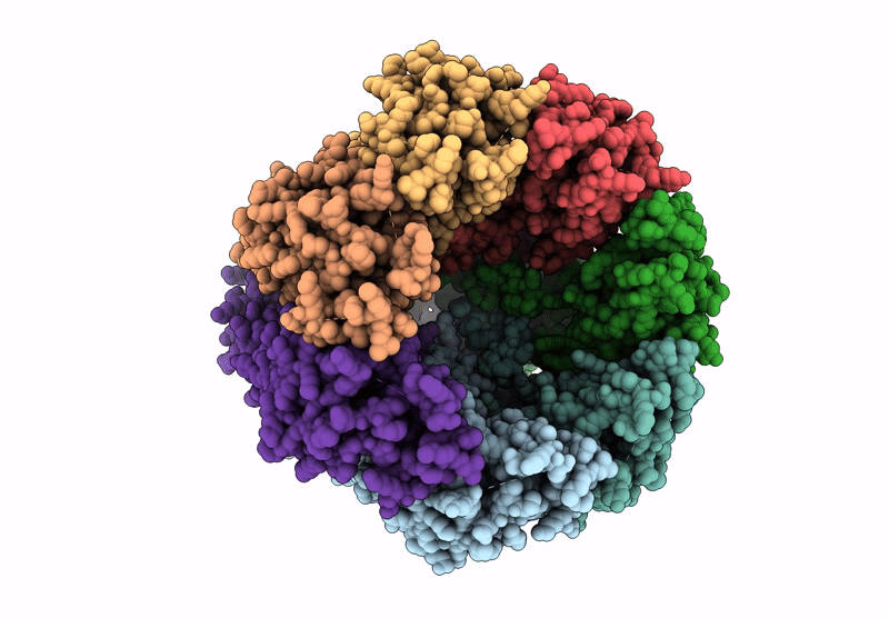 9HF2 image