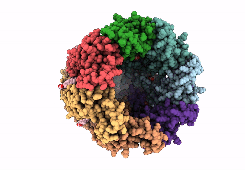 9HF3 image