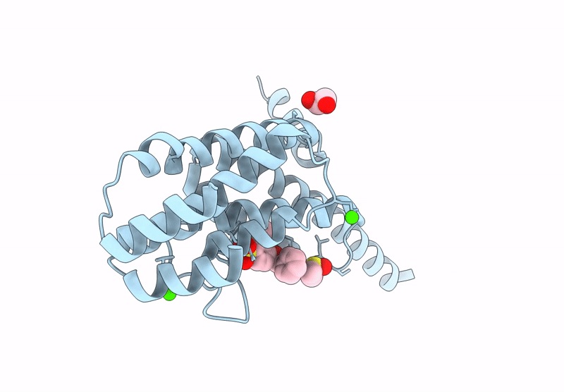 9HF4 image