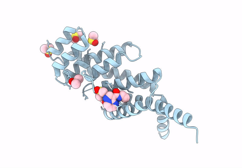 9HF6 image