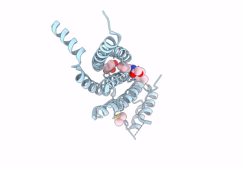 9HF8 image