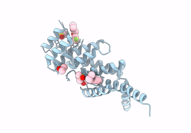 9HFA image