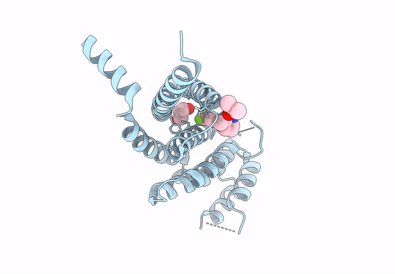 9HFI image