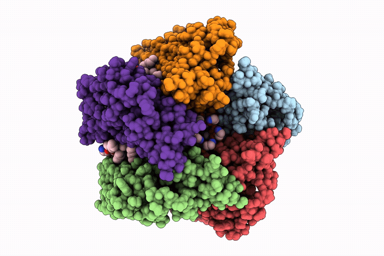 9HFK image