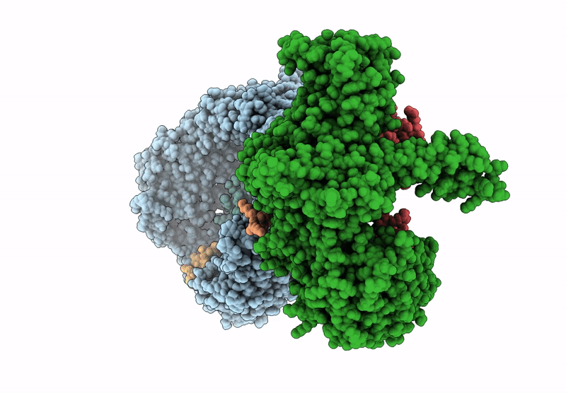 9HFL image