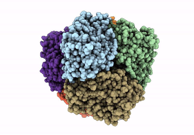 9HFR image