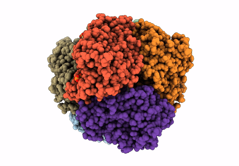 9HFS image