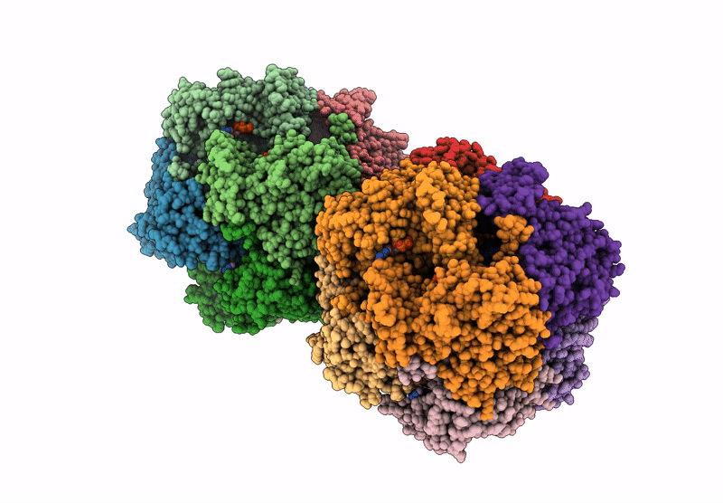 9HG2 image