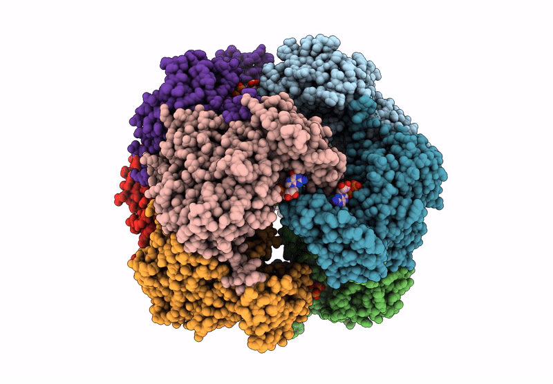 9HG3 image