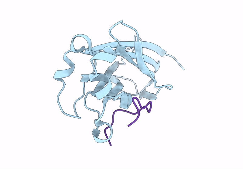 9HGH image