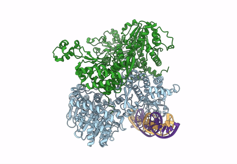 9HGI image