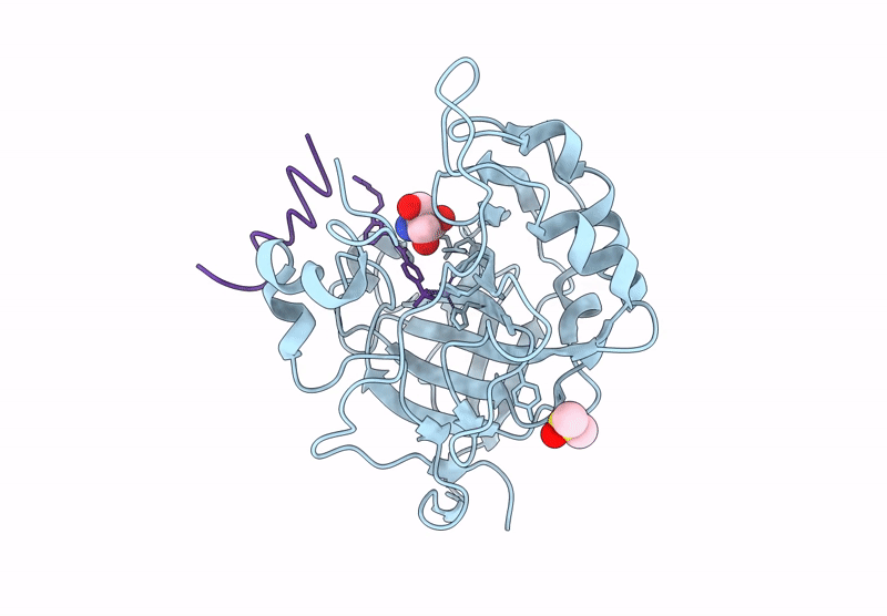 9HGP image