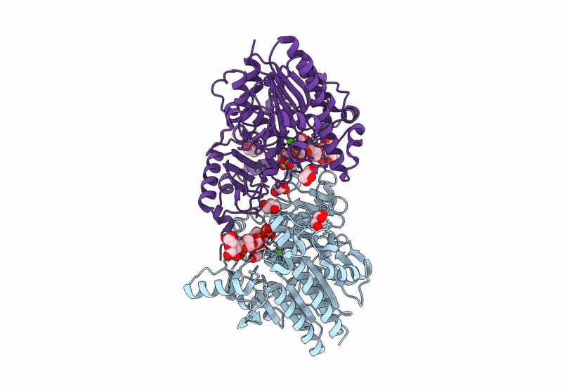 9HH2 image