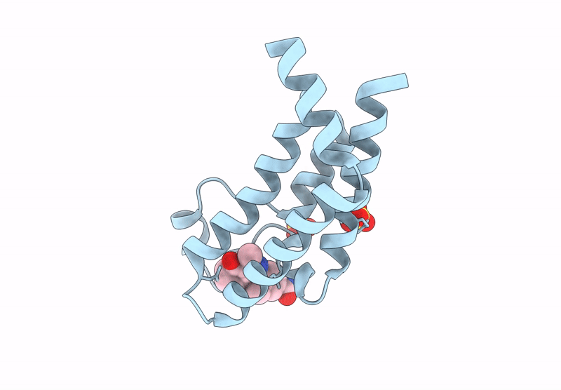 9HH8 image