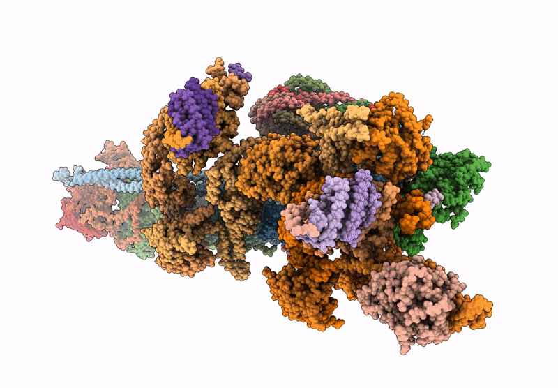 9HHL image